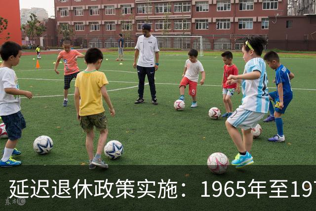 延迟退休政策实施：1965年至1975年出生者的独特处境